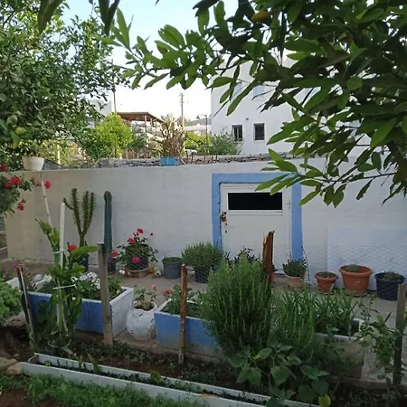 Large And Quite House In Bodrum Center בית נופש