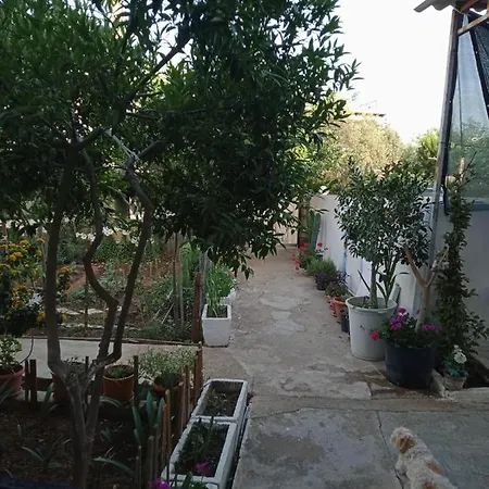 Large And Quite House In Bodrum Center בודרום