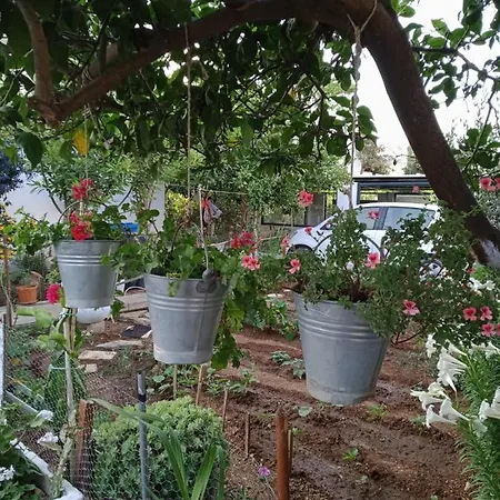 בית נופש Large And Quite House In Bodrum Center