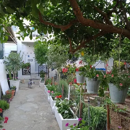 Large And Quite House In Bodrum Center * بودروم